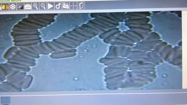 #Минус 25кг # смотреть онлайн