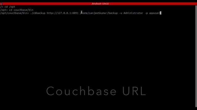 How to take couchbase db dump смотреть онлайн
