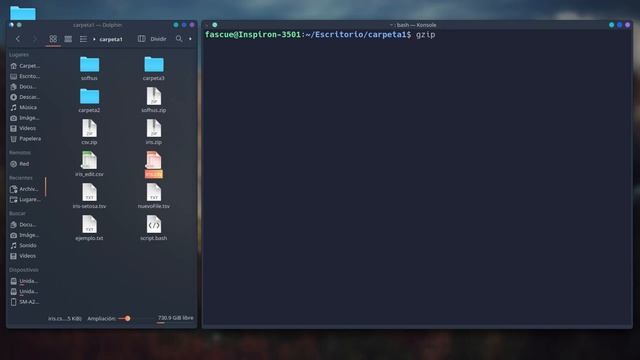 Compresiones en Linux | Linux #bioinformática #linux смотреть онлайн