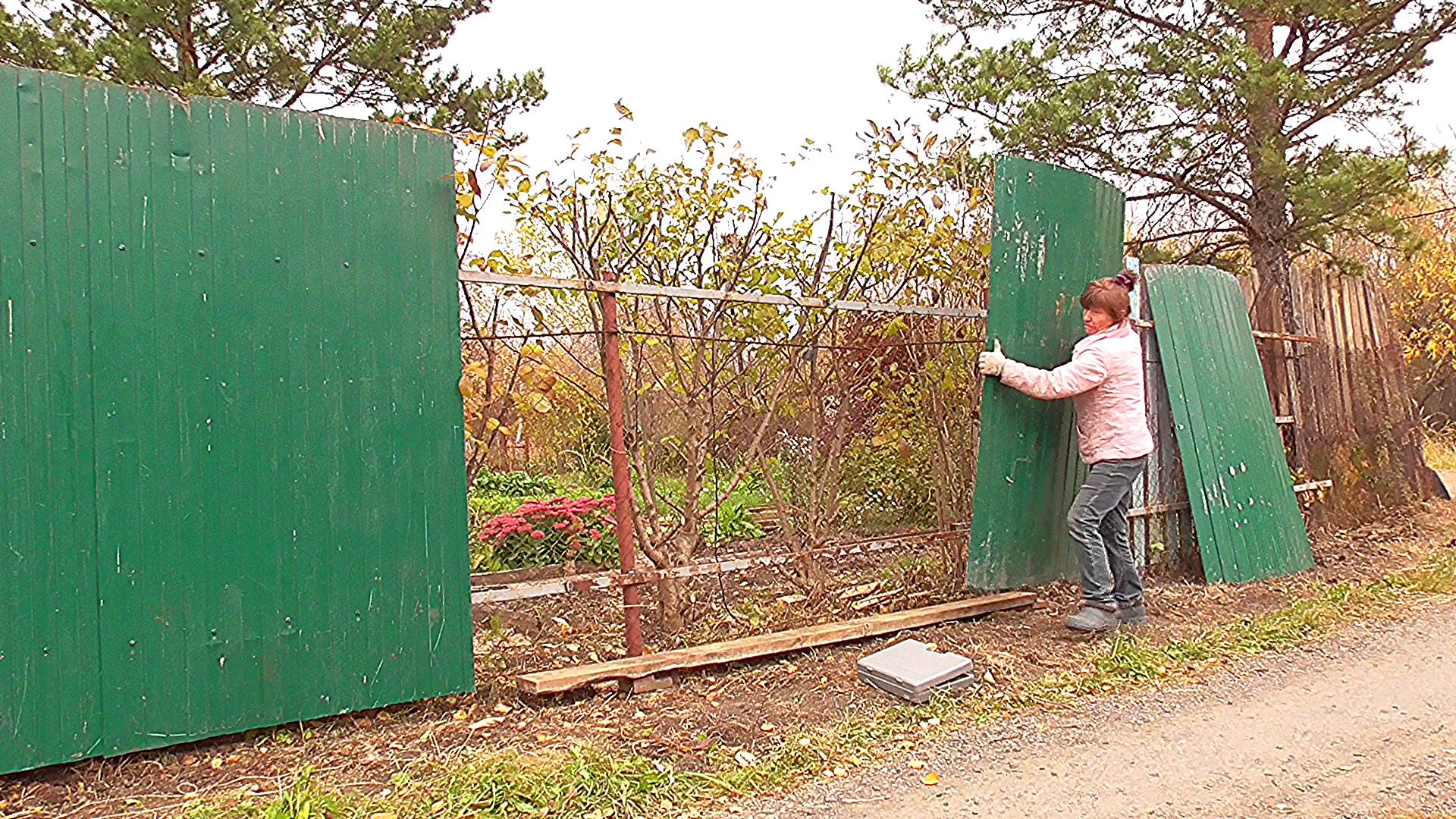 Дача. Ремонт забора. Часть 4. Монтаж проф. листа. Октябрь 2024 г.