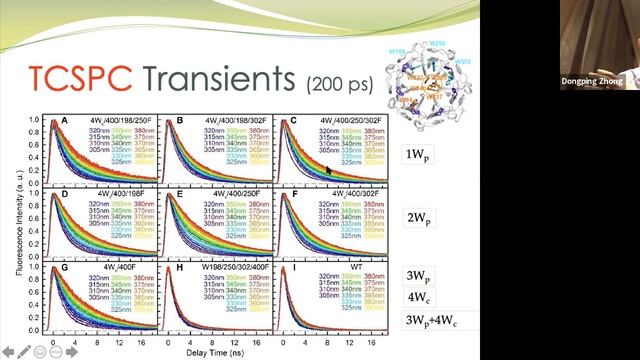 Dongping Zhong смотреть онлайн