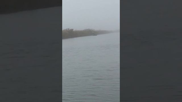 Рясный лиман обводной канал 2018 смотреть онлайн