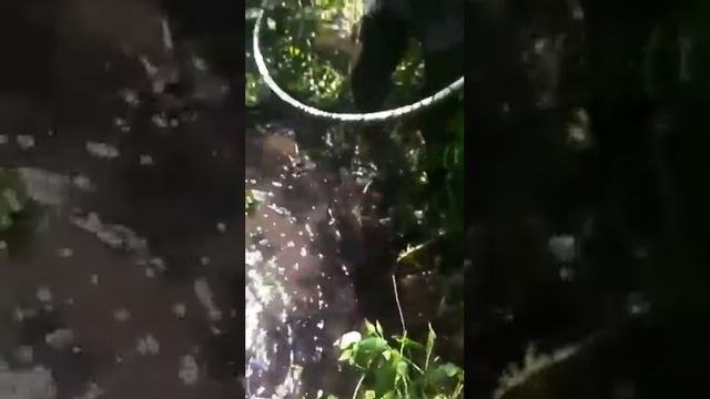 Ловля карпа руками. смотреть онлайн