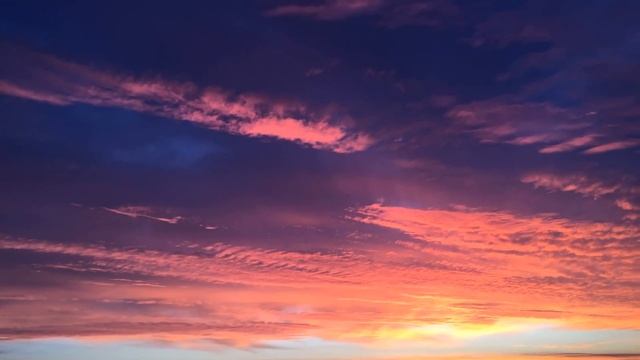 rosy dawn смотреть онлайн