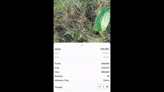 Weed detection (Tensorflow lite demo app on Android) смотреть онлайн