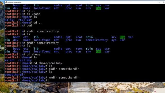 Kali Linux Quick Start Guide - Basic Commands You Should Know смотреть онлайн