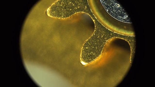 Часы под Стереомикроскопом Nikon SMZ25 - от 6.3х до 157.5х