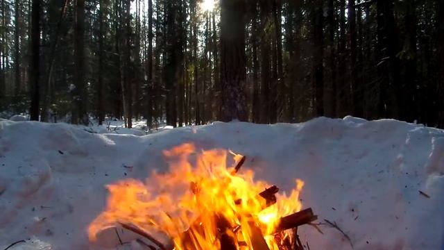 Костер в лесу смотреть онлайн