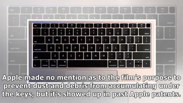 Prominent Apple blogger calls the MacBook's butterfly keyboards the 'worst products in Apple hist.. смотреть онлайн