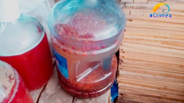 Настойка на вишневой мезге смотреть онлайн