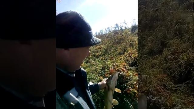 Щука пробудилась страйк про Болд в заглот смотреть онлайн