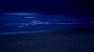 🌙 Сон у моря под шум волн. Полная луна и расслабляющий прибой на пляже. Шум океана