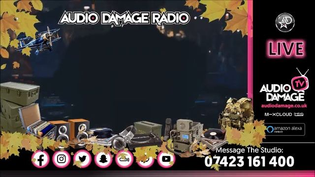 The Analogue Demon VS Machine Gun Kelly Bassline LIVE Audio Damage Radio 1am - 2am (05.04.2024). смотреть онлайн