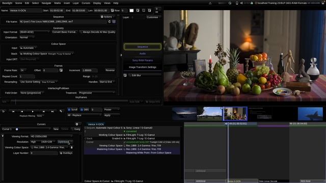 2401 - RAW Decoding смотреть онлайн