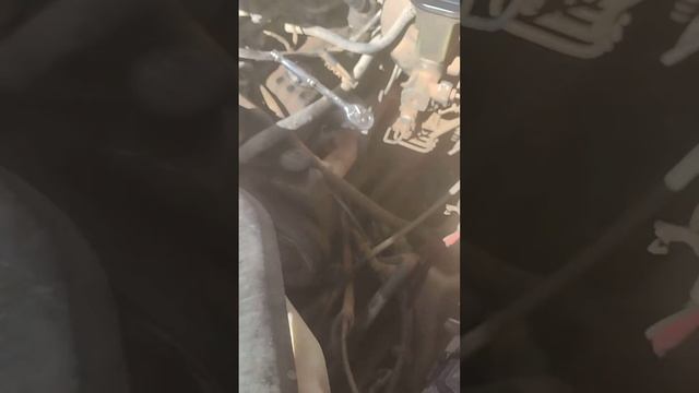 review on Dodge ram 1996 318 5.2 L смотреть онлайн