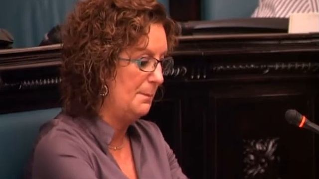 17/06/10 PNV PLENO AYTO