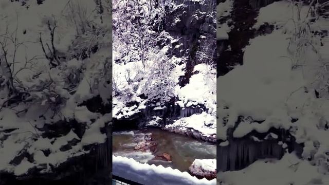 ЮЖНЫЕ КРАСОТЫ ПРИРОДЫ✨ смотреть онлайн
