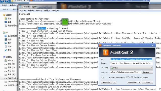 Download files with Flashget смотреть онлайн