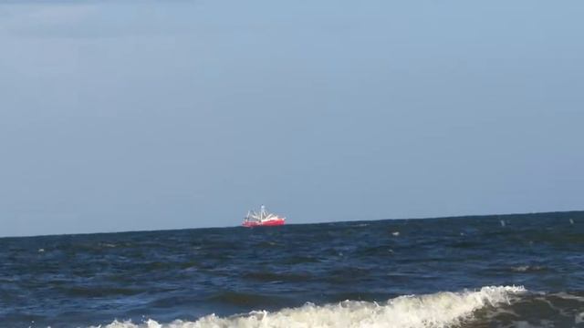 Pelican Dives into Ocean, Container Ship & Boat Sea Pines HHI смотреть онлайн