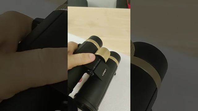 26 сентября 2022 г.