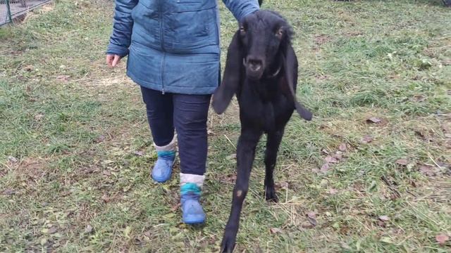 Upload_2024_10_24_16_42_47_843