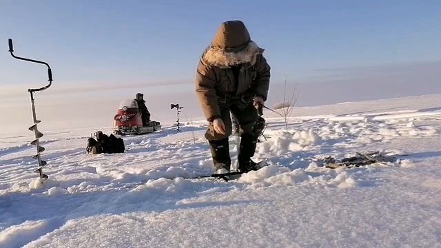 клев - супер👍👍👍 смотреть онлайн