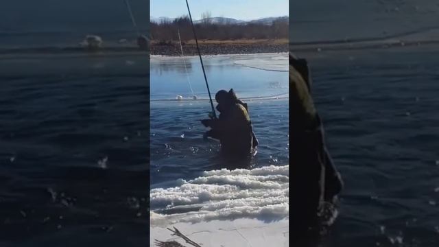 горный хариус смотреть онлайн