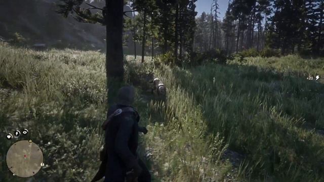 Rdr2 trying to study a jaguar смотреть онлайн