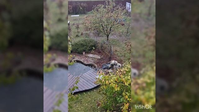 слезы прошедшего лета