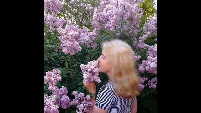 Дом родной смотреть онлайн