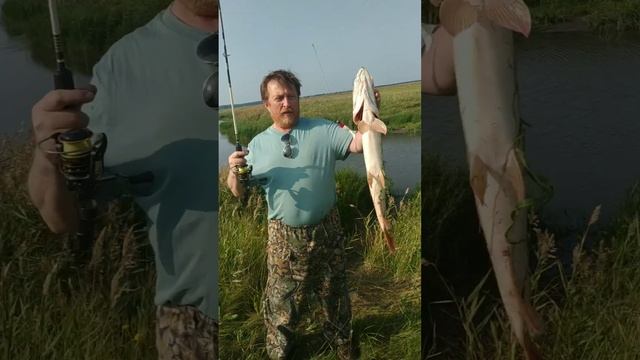 Щука на спининг. смотреть онлайн