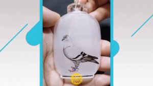 Залипательное видео / Самое залипательное / Приятное видео