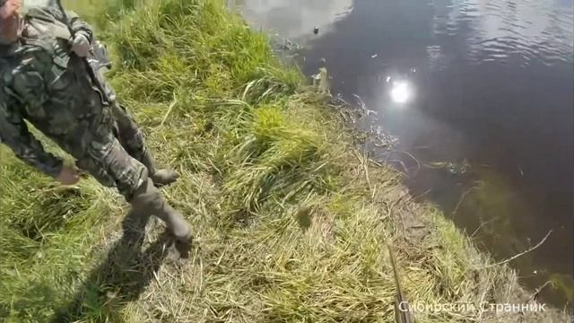 Без подсака на сазана🤣🤣🤣🤣 смотреть онлайн