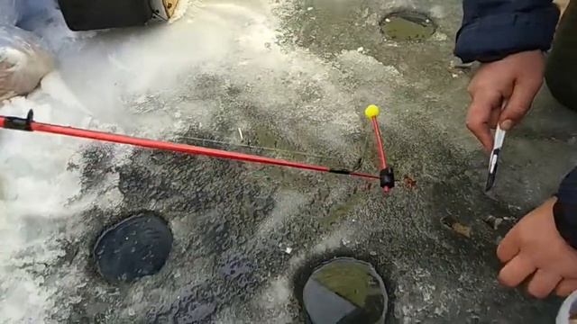 опа снова ротан . ДО КОНЦА хаххахаха смотреть онлайн