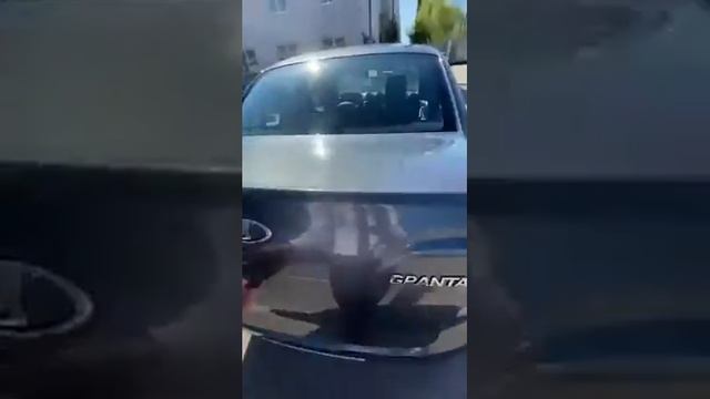 гранта 65 серый 2017