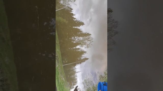 Зарыбление пруда. смотреть онлайн