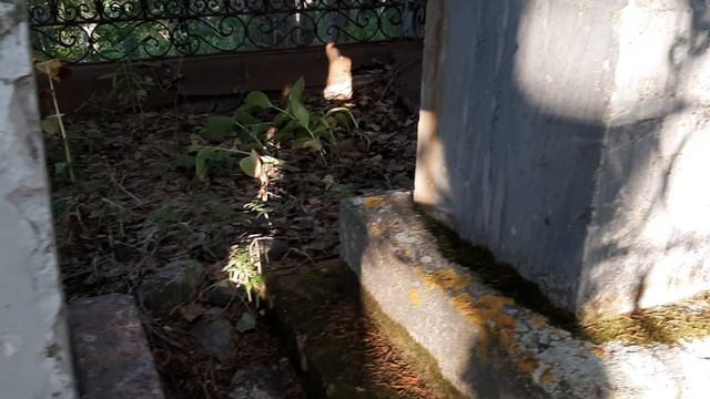 Самосохранение (24.08.2020). Кереть. Савиновы. смотреть онлайн