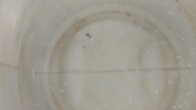 Пуля... смотреть онлайн