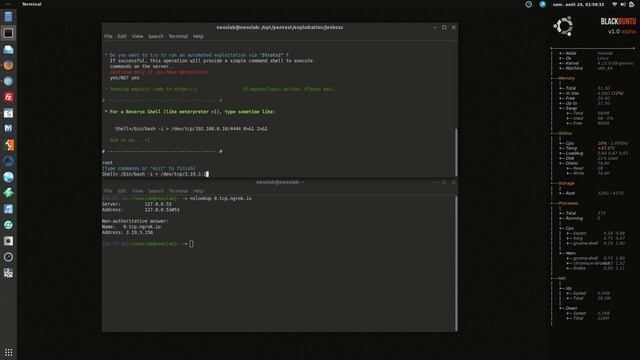 How hackers exploit Struts2 on Linux and Windows servers смотреть онлайн