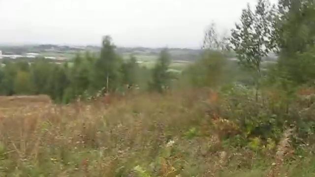 LAND ROVER DAY - 11 сентября 2010 года. Пригород Петербурга - 3 смотреть онлайн