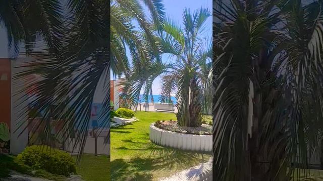 СОЛНЦЕ, МОРЕ, ПЛЯЖ⛱️ смотреть онлайн