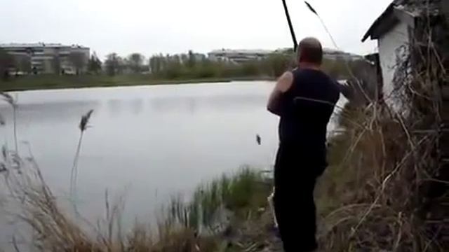 Кот воришка на рыбалке смотреть онлайн