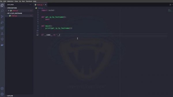 Получаем IP-адрес сайта с помощью Python | Как узнать IP-адрес сайта