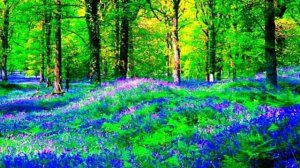 Музыкальный-клип Одолен-трава Принесёт Любовь. Ольга Зарубина - Заговорные с