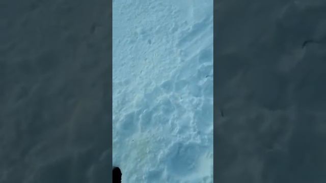 Окуни лунки, лунки окуни. смотреть онлайн