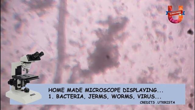 LIVE: HOMEMADE MICROSCOPE DISPLAYING : BACTERIA, GERMS, WORMS, VIRUS ETC