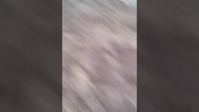 Мы в походе 2, ПОРЯЩИЙ ОГОНЬ смотреть онлайн