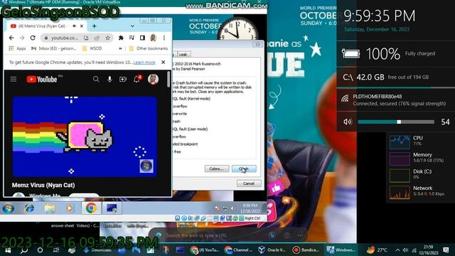 Nyan Cat MEMZ Trojan has BSOD VM (Windows 7 Ultimate HP OEM) смотреть онлайн