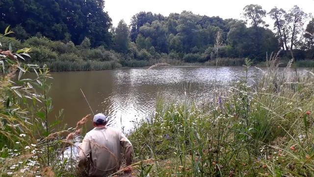 Артхаус. Постигшему дзен