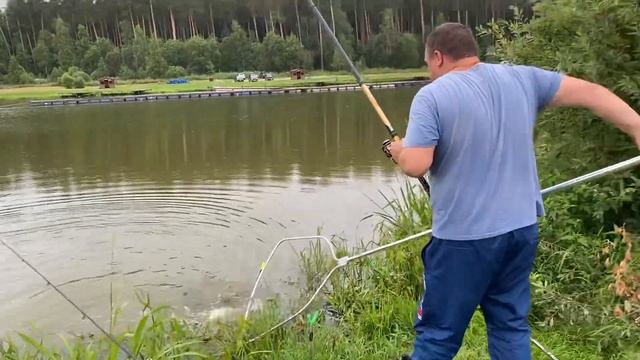 Клев и поимка карпа на кукурузу. Общий водоём смотреть онлайн